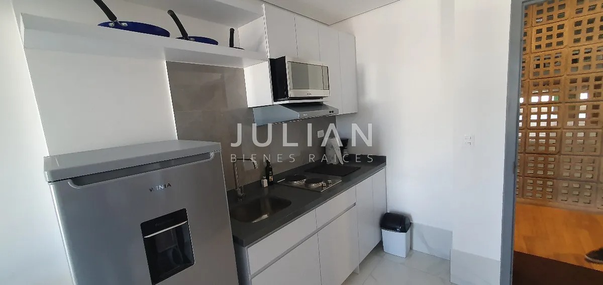 Departamento en Venta amueblado en la Purisima, una habitación (2)