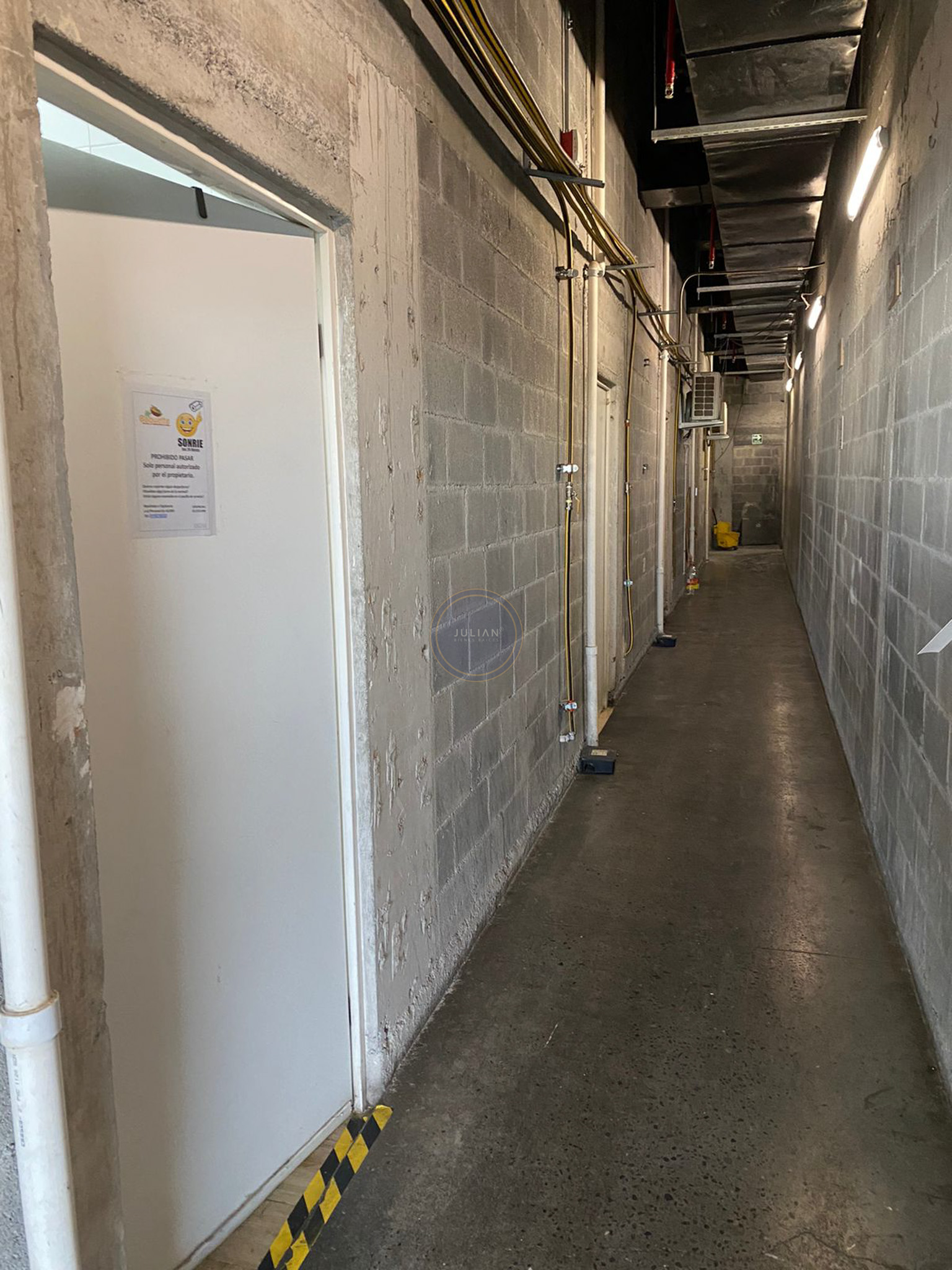 WhatsApp Image 2025-08-06 at 2.08