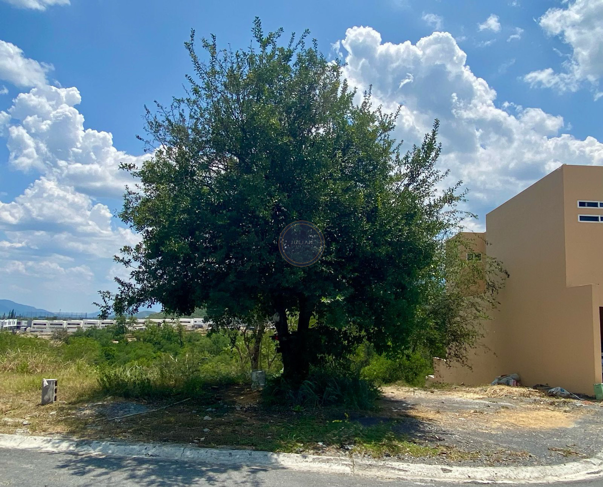 WhatsApp Image 2025-08-13 at 2.22