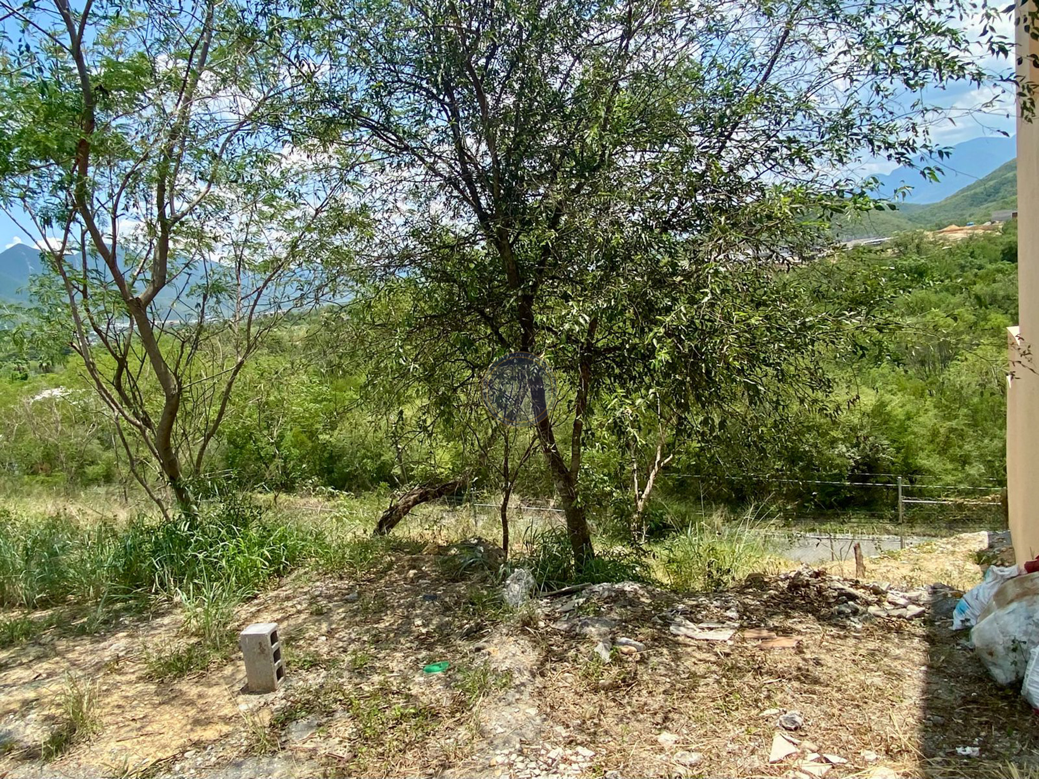 WhatsApp Image 2025-08-13 at 2.22