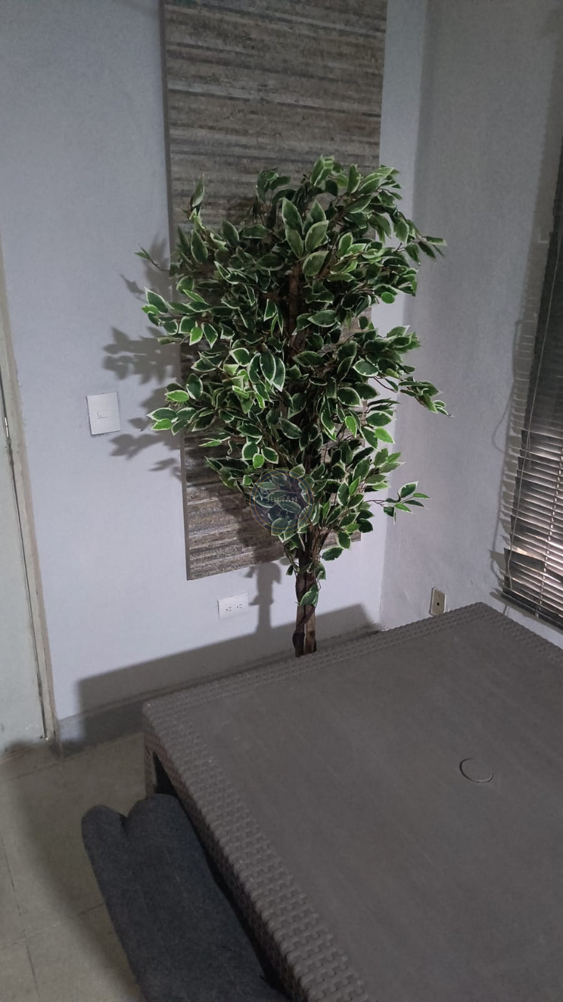 Departamento Renta Tipo Loft en Valle San pedro Garza Garcia (1)