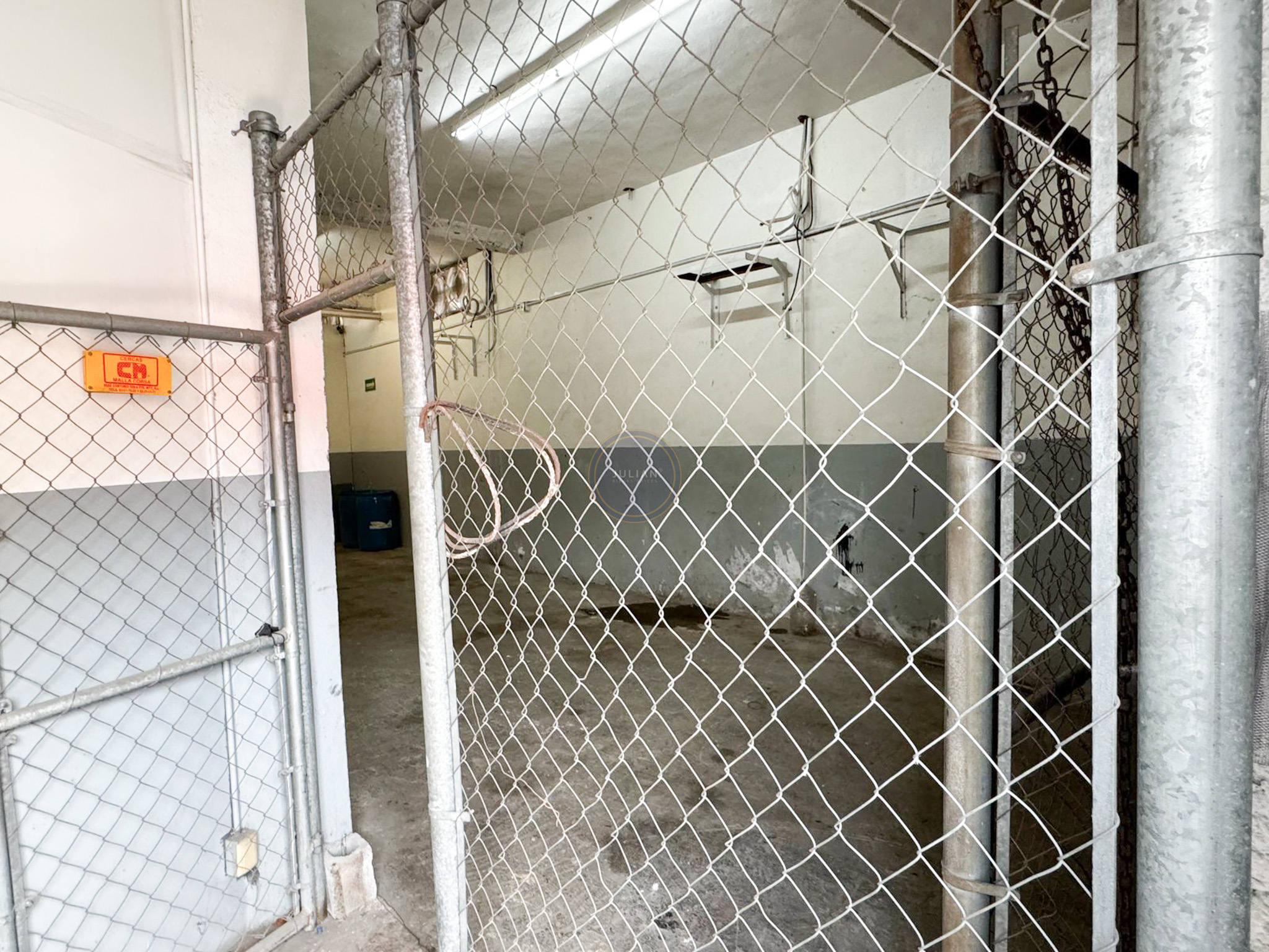 WhatsApp Image 2025-11-03 at 1.00