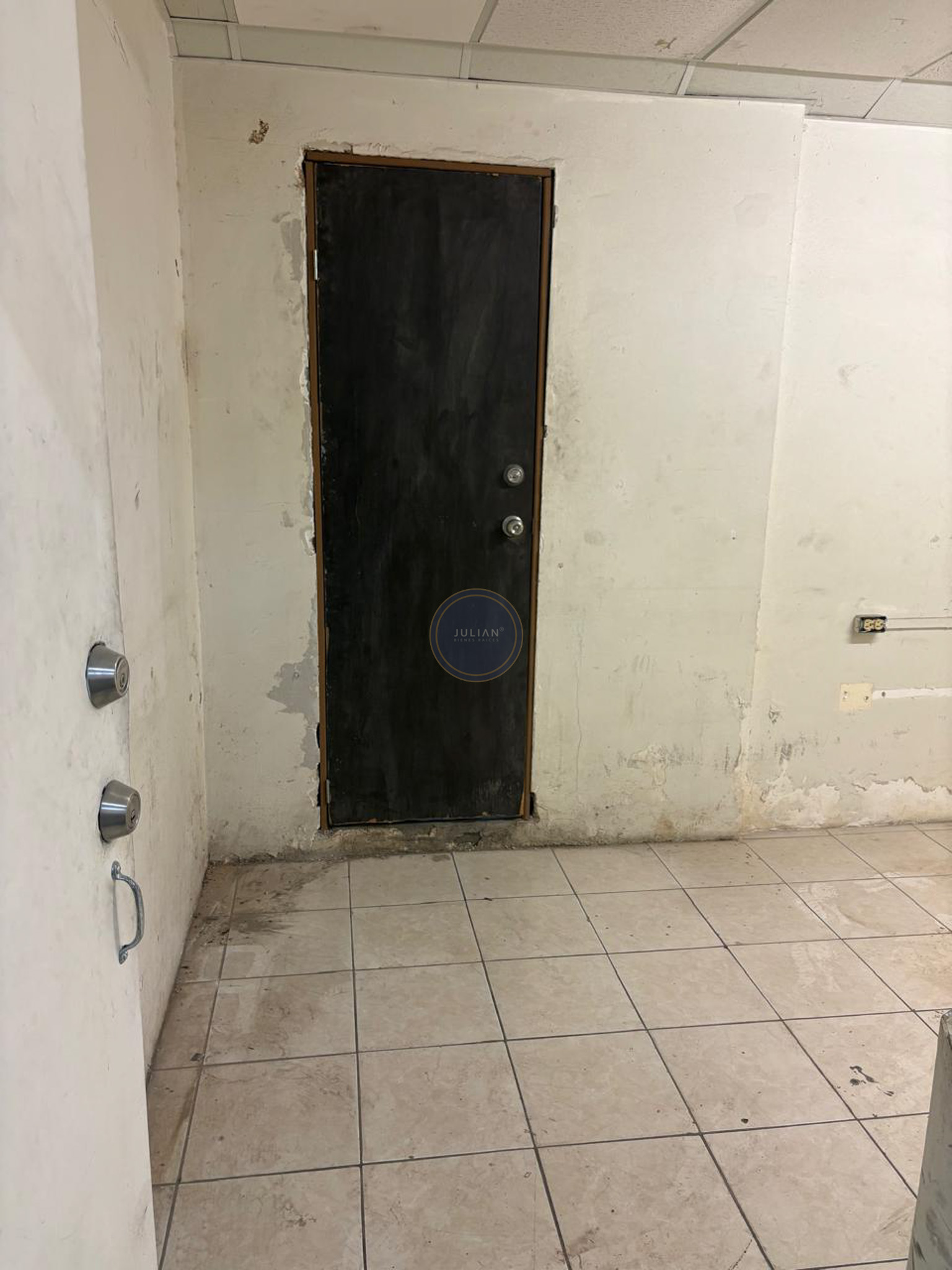 WhatsApp Image 2026-02-25 at 7.30