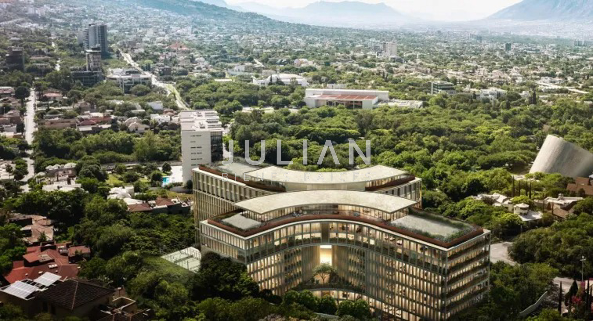 WhatsApp Image 2025-02-22 at 3.50