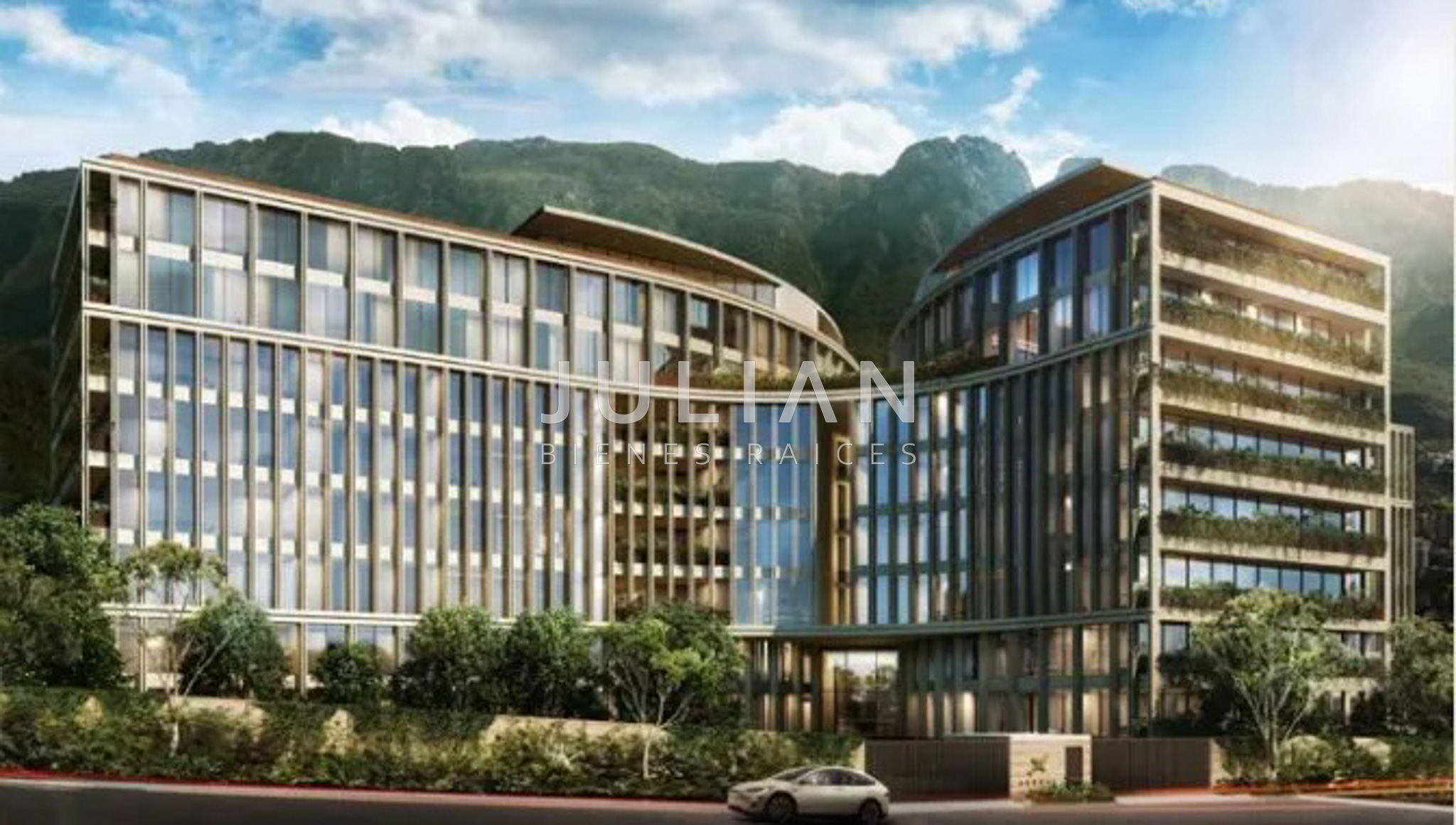 WhatsApp Image 2025-02-22 at 3.50