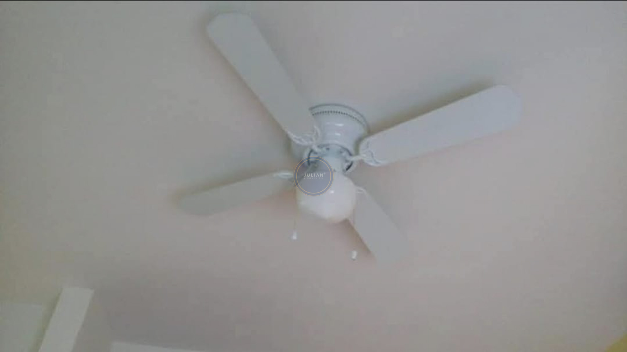 WhatsApp Image 2025-12-01 at 1.54