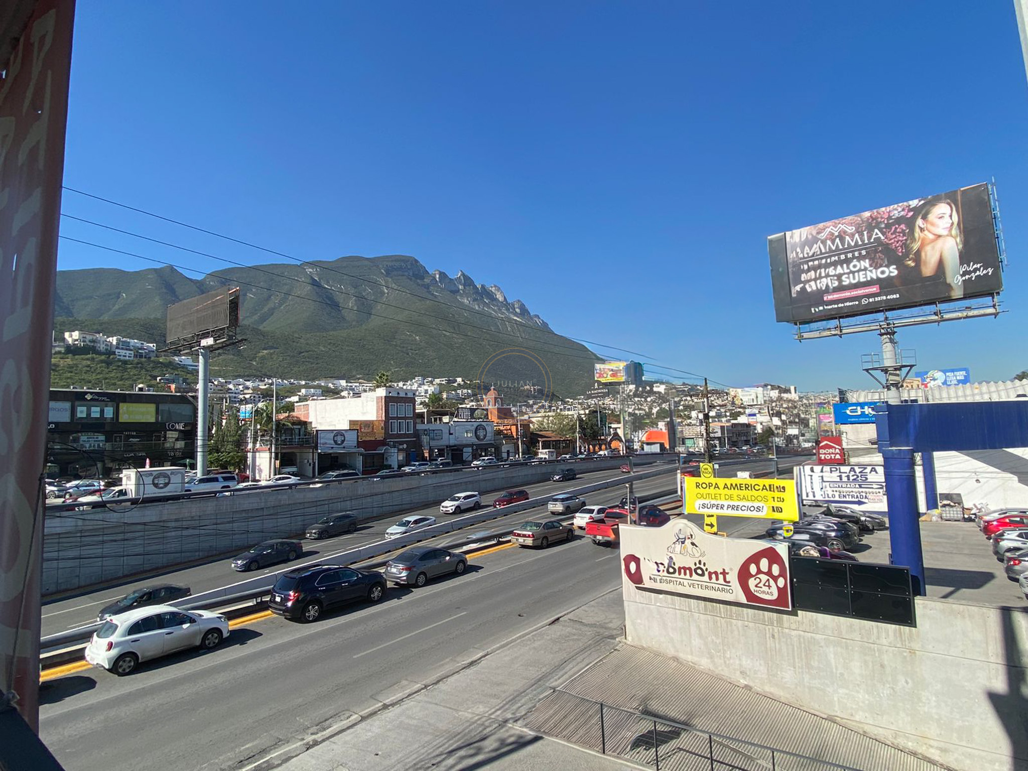 WhatsApp Image 2025-12-18 at 11.53