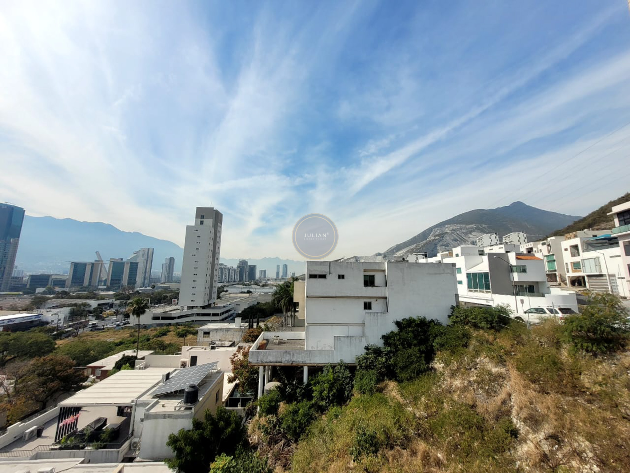 WhatsApp Image 2026-01-19 at 6.35