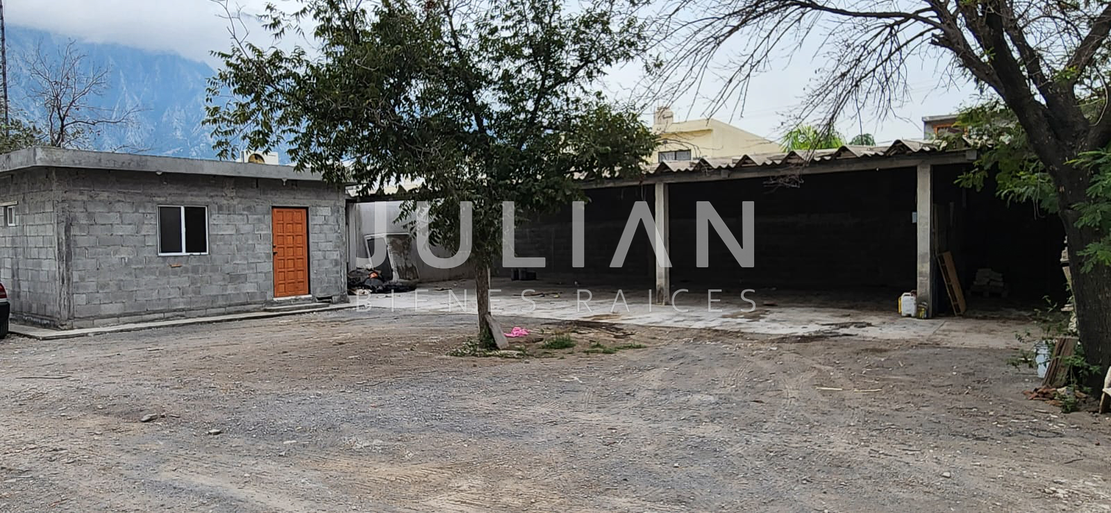 WhatsApp Image 2024-07-24 at 8.42