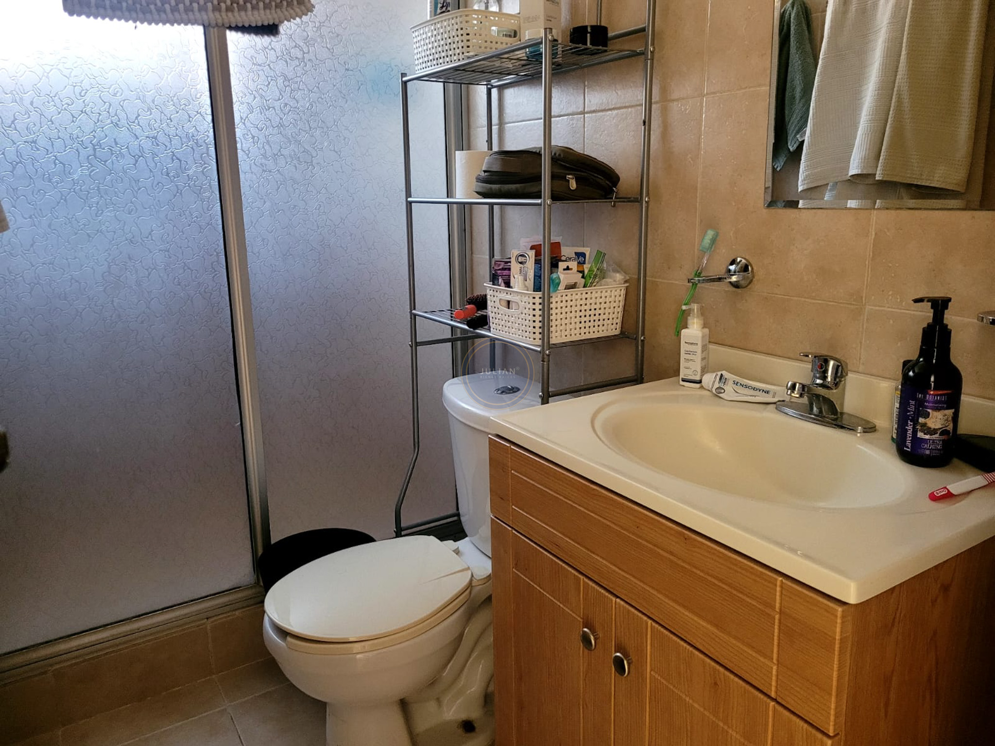 WhatsApp Image 2026-02-09 at 12.19